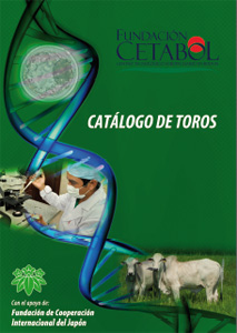 Catálogo 2012